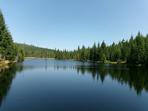 Wandergruppe auf dem Weg zum Siebensteinkopf im Nationalpark Bayerischer Wald